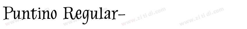 Puntino Regular字体转换